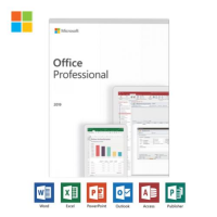 Microsoft Office 2019 Professional (Outlook, Word, Excel, Power Point, Access) 